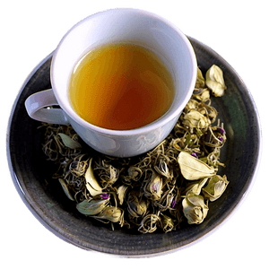 Herbal Tea Cup PNG gbj PNG