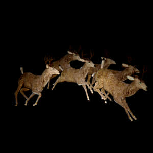 Herdof Deerin Motion PNG image with transparent background