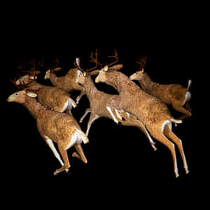 Herdof Deerin Motion PNG image with transparent background