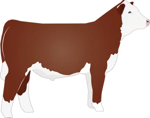 Hereford Cow Illustration PNG Image