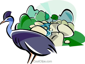 Cameleon Clipart Rainforest Animal - Rainforest Clip Art, HD Png Download PNG image with transparent background