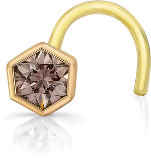 Hexagonal Gemstone Nose Ring PNG Image