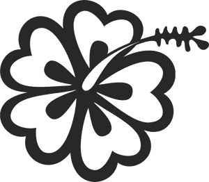 Transparent Flower Outline Png - Hibiscus Flower Outline Png, Png Download PNG image with transparent background