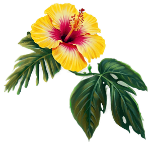 Hibiscus Flower PNG bli98 PNG image with transparent background