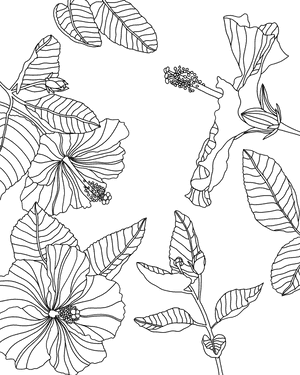 Transparent Tumblr Png Coloring Pages - Coloring Page Procreate Free, Png Download PNG image with transparent background