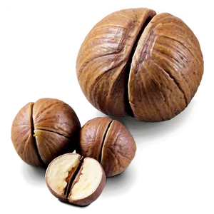 Hickory Nut Png Vwt84 PNG Image