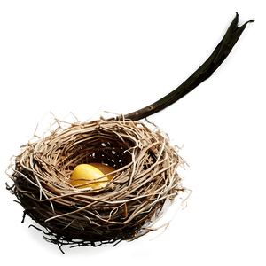 High-Quality Bird Nest PNG 06212024 PNG