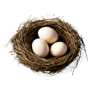 High-Quality Bird Nest PNG 49 PNG