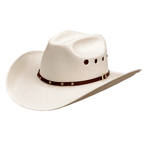 High Quality Cowboy Hat Transparent Image PNG 28 PNG