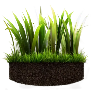 High-quality Grass Patch Png Nop PNG Image