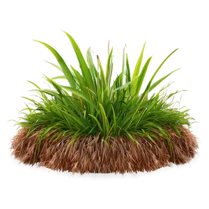 High-quality Green Grass Png 06262024 PNG Image