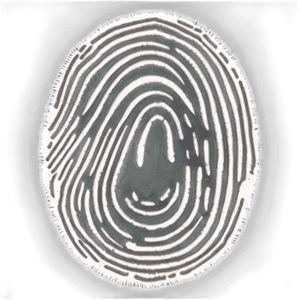 High-Resolution Fingerprint Image PNG 05242024 PNG image with transparent background