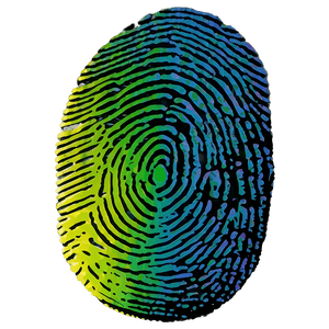 High-Resolution Fingerprint Image PNG 05242024 PNG image with transparent background