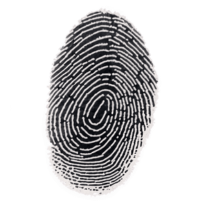 High-Resolution Fingerprint Image PNG 3 PNG image with transparent background
