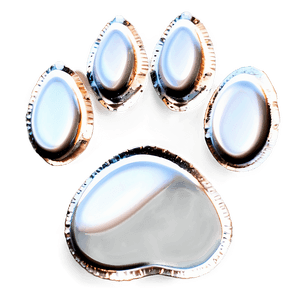 High-Resolution Paw Print PNG xoa PNG image with transparent background