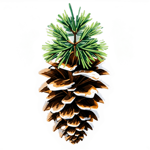 High Resolution Pine Cone PNG 53 PNG