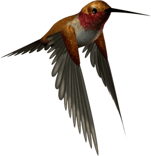 High Resolution Png Images Free Download - High Resolution Free Download, Transparent Png PNG image with transparent background