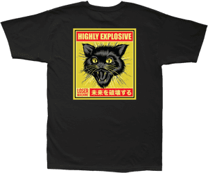 Black Cat, HD Png Download PNG image with transparent background