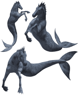 Hippocampus, Seahorse, Monster, Creature, Beast, Horse - Seahorse Monster, HD Png Download PNG image with transparent background