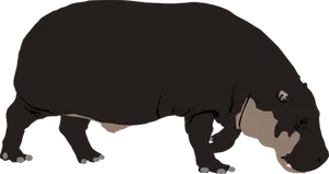 Hippopotamus Standing Profile PNG Image