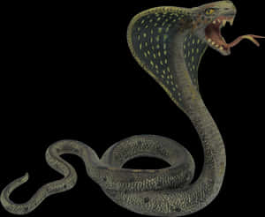 Hissing Snake Black Background PNG image with transparent background