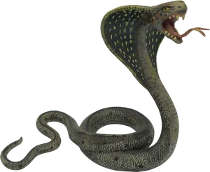 Hissing Snake Black Background PNG Image