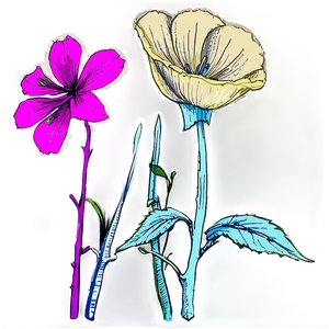 Historical Flower Sketch Png 21 PNG Image