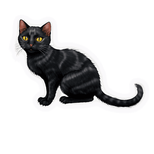 Hocus Pocus Black Cat PNG tmh PNG image with transparent background