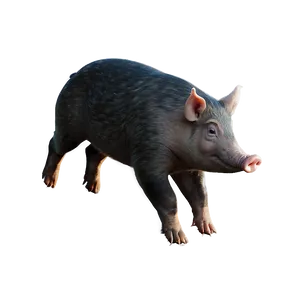 Hog Drawing Png Pmn99 PNG Image