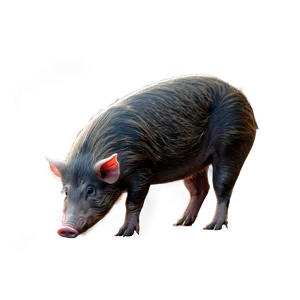 Hog In Forest Png 06252024 PNG Image