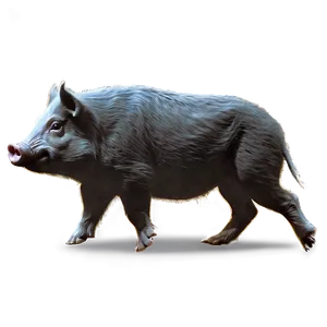 Hog Silhouette Png Osf PNG Image