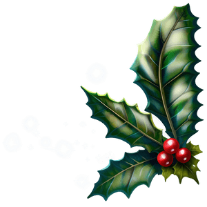 Holiday Holly PNG llp71 PNG