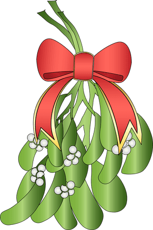 Gift, Christmas Light Bulb, Turkey, Ornament, Poinsettia, - Transparent Png Mistletoe PNG with transparent background