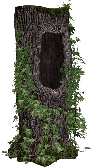 Tree Trunk Tree Ivy Free Picture - Tree Trunk Png, Transparent Png PNG image with transparent background