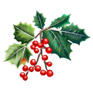 Holly and Ivy PNG 18 PNG