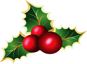 Mistletoe Clipart Transparent PNG image with transparent background