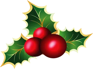 Holly Berries Illustration PNG Image