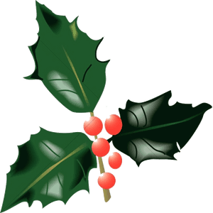 Holly Leaf Leaves And Berries Traditional Christmas - Holly Leaves And Berries, HD Png Download PNG image with transparent background