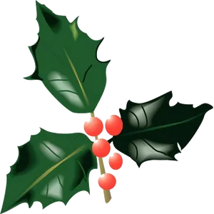 Holly Berries Illustration PNG Image