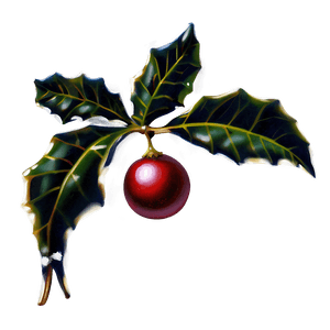 Holly Berries PNG bgs PNG