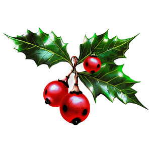 Holly Berries PNG tll PNG