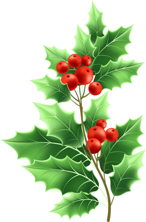 Image Free Stock Christmas Png Clip Art Gallery Yopriceville - Transparent Png Christmas Mistletoe PNG image with transparent background