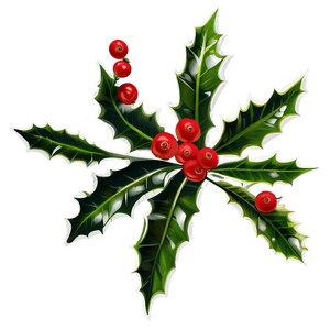 Holly Branch PNG 05252024 PNG