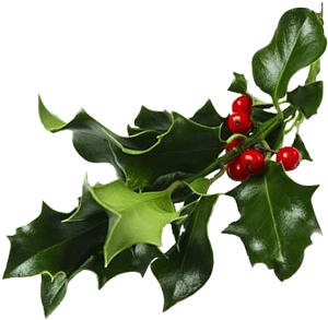 When Christianity Became Widespread In Europe After - Mistletoe Png PNG with transparent background