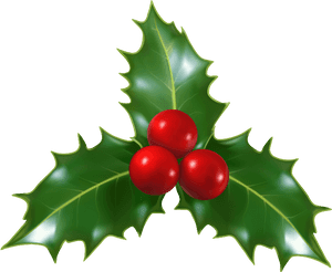 #holly #decoration #christmas #leaves #trio #berries - Transparent Background Holly Png, Png Download PNG image with transparent background