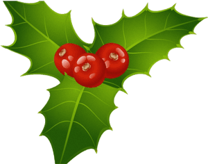 Holly Leaf Berries Clipart Christmas Mistletoe Transparent - Mistletoe Clipart Png, Png Download PNG image with transparent background
