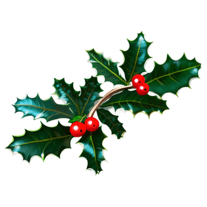 Holly PNG 47 PNG