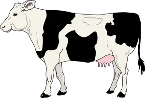 Holstein Friesian Cow Illustration PNG Image