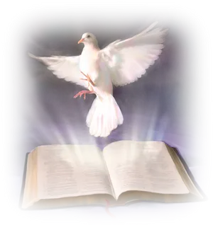 Holy Spirit Doveand Bible PNG Image