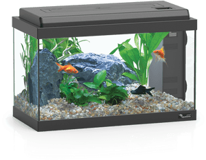 Aquarium 40 Led Bio, HD Png Download PNG image with transparent background